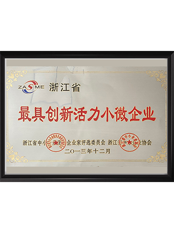 The most dynamic small and micro enterprises in Zhejiang Province